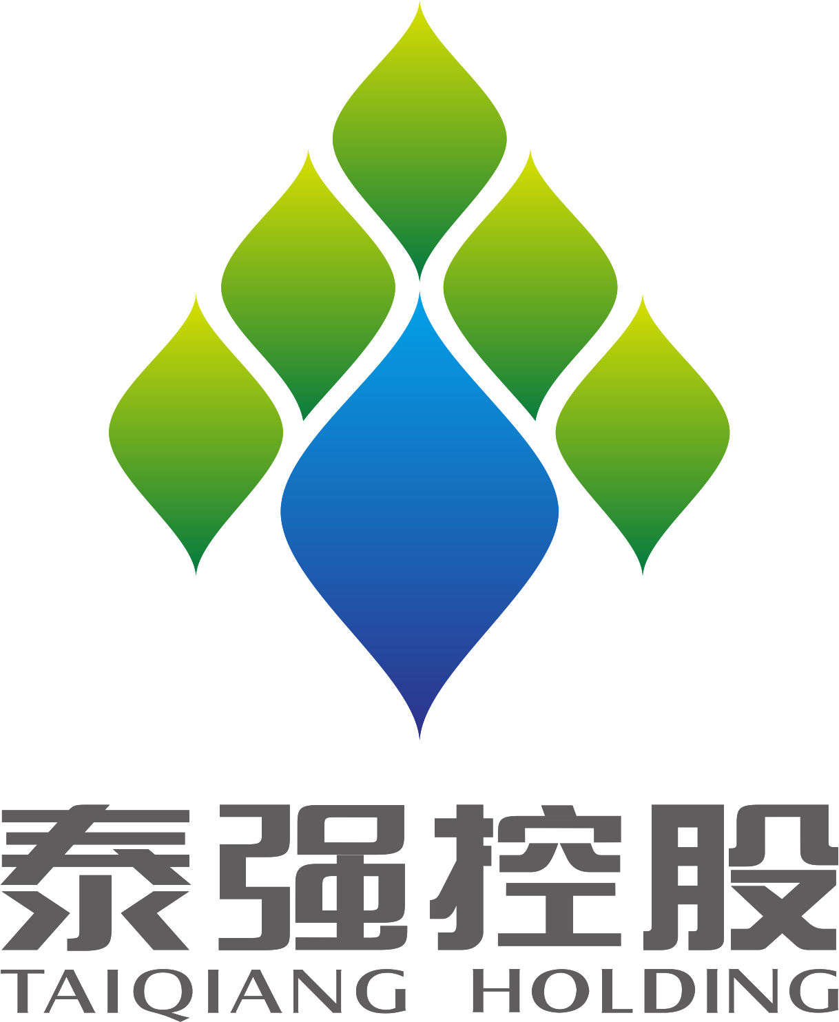 Guangdong TaiQiang Material Technology Company Limited